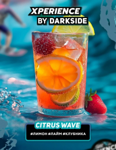 DARK SIDE Xperience CITRUS WAVE (CTRS WAV ) 100g, , buc