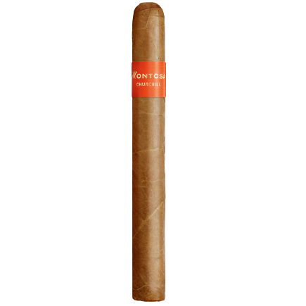 ������ Montosa Churchill