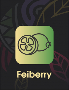 Sebero Black Feiberry (Fei Merry) 200 gr.